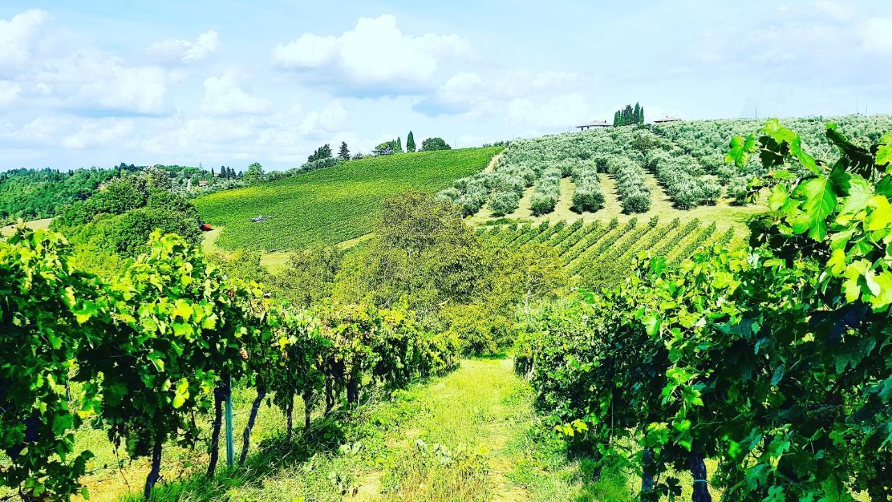 Agriturismo Sant'Ellero San Casciano in Val di Pesa Zewnętrze zdjęcie