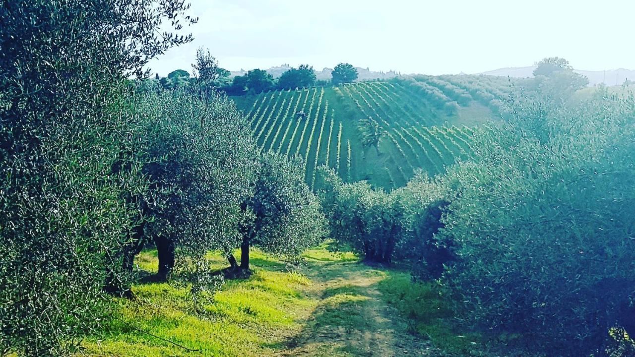 Agriturismo Sant'Ellero San Casciano in Val di Pesa Zewnętrze zdjęcie